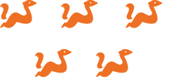 5 joueurs